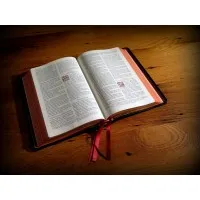 evangelicalbible.com evangelicalbible.com