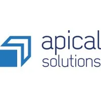 Apical IT Solutions Ltd