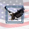 Veteran Development & Construction LLC Veteran Development & Construction LLC