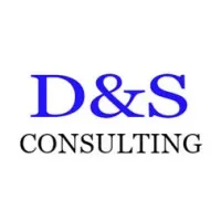 D&S Consulting