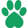 PetBae PetBae