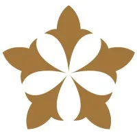 Knight Dragon Knight Dragon