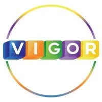 VIGOR ACCOUNTING & TAXATION LLC