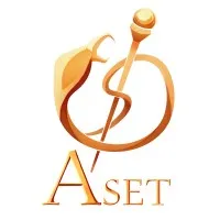 Aset Limited Aset Limited