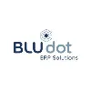 BLU DOT ERP SOLUTIONS (PTY) LTD