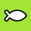 Brainfish Brainfish
