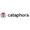 Cataphora