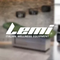 LEMI Group