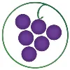 WTSO (Wines 'Til Sold Out) WTSO (Wines 'Til Sold Out)