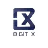 Bigit X Bigit X