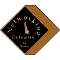 Networking Delaware, LLC