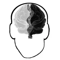 Gray Matter Development LLC Gray Matter Development LLC