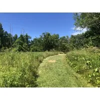 Weston Conservation Department