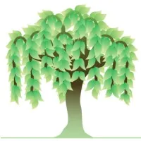 Willow Tree Psychology and Wellbeing Willow Tree Psychology and Wellbeing