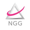 NGG Global Consulting Solutions NGG Global Consulting Solutions