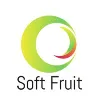 SoftFruit Solutions SoftFruit Solutions