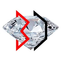 BELGIUM New York LLC BELGIUM New York LLC