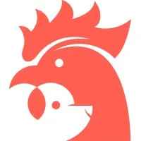 Dog and Rooster | Website Design Agency