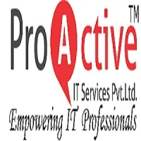 ProActive IT Services Pvt.Ltd. Pune