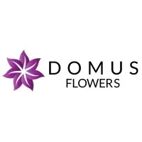 Domus Flowers