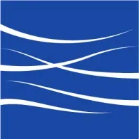 Movement Strategy Center Movement Strategy Center