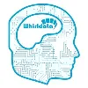 Whirldata Inc Whirldata Inc