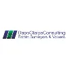 Dapo Olaiya Consulting Dapo Olaiya Consulting