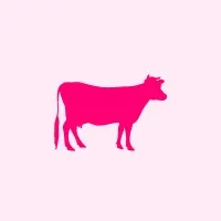 Holy Cow! Creative Holy Cow! Creative