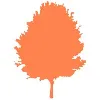 Maple Insight Maple Insight