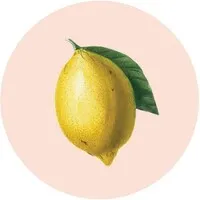 The House that Lars Built The House that Lars Built