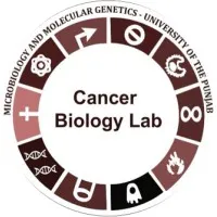 Cancer Biology Lab -IMMG