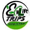 EnLive Trip Experiences Private Limited EnLive Trip Experiences Private Limited