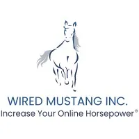 Wired Mustang Inc. Wired Mustang Inc.