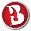 Bachman’s Roofing