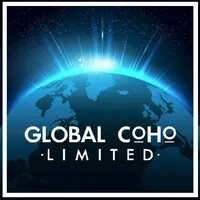 Global Company Holdings Ltd Global Company Holdings Ltd