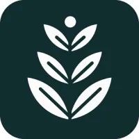 Spring Marketing Co.