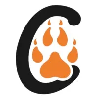 Big Cats India Big Cats India