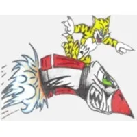 Tomcat Aviation LLC Tomcat Aviation LLC