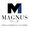 Magnus Blue LLP