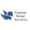 Pegasus Social Services Pegasus Social Services