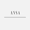 Ansa Industries Ansa Industries