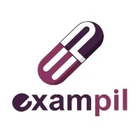 Exampil Solutions Pvt. Ltd.
