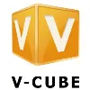 V-cube USA Inc. V-cube USA Inc.