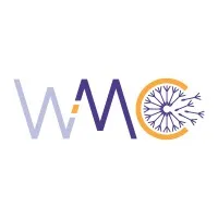 WMC (White Matter Communications)