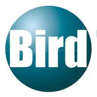 Bird Talent | 博赫咨询 Bird Talent | 博赫咨询