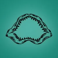 FIELDING LAW, APC FIELDING LAW, APC