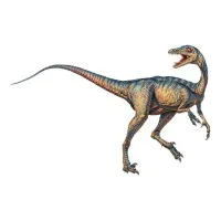 TROODON MEDIA TROODON MEDIA