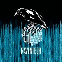 RavenTech Consulting Ltd.