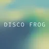 Disco Frog Studio Disco Frog Studio
