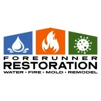Forerunner Restoration and Remodel